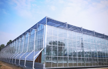 ����ʴ����+